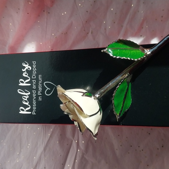 Platinum dipped rose - Picture 4 of 5